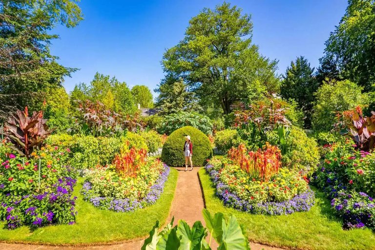 Nova Scotia’s Coastal Gardeners Share Tips for Seaside Planting
